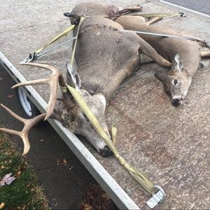 Meet your Posher, Paul